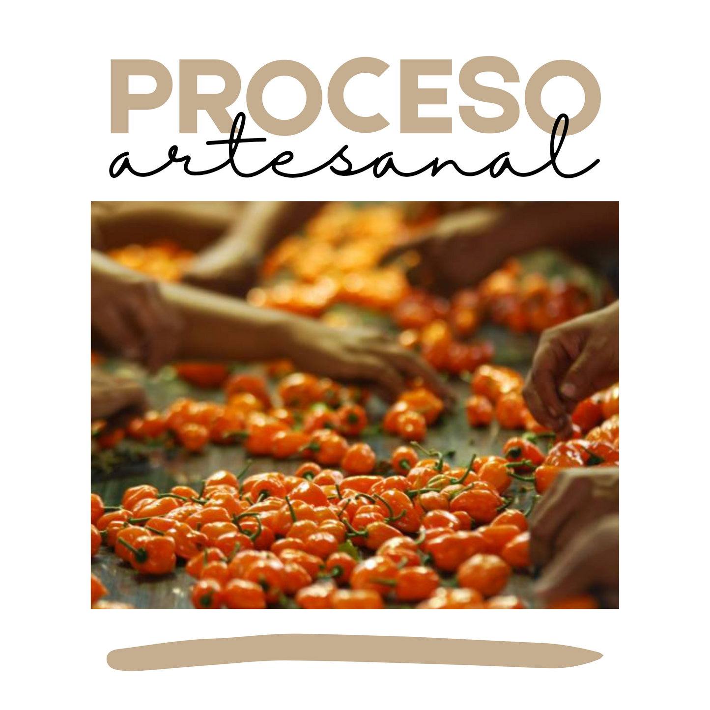 Salsa habanera | Gourmet | Tradicional | 300grs | Mexpofood