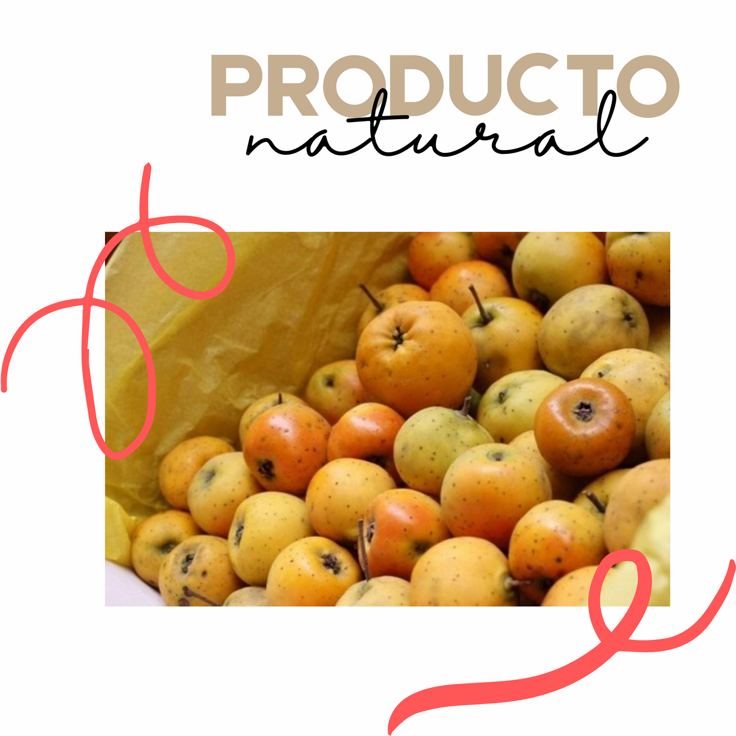 Tejocotes en almíbar | Almíbar | Gourmet | Artesanal | Caja Mayoreo | Mexpofood