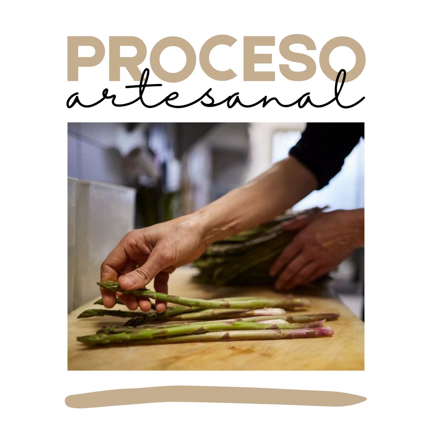 Espárragos en Vinagre | Gourmet | Artesanal | 16 frascos | Mexpofood