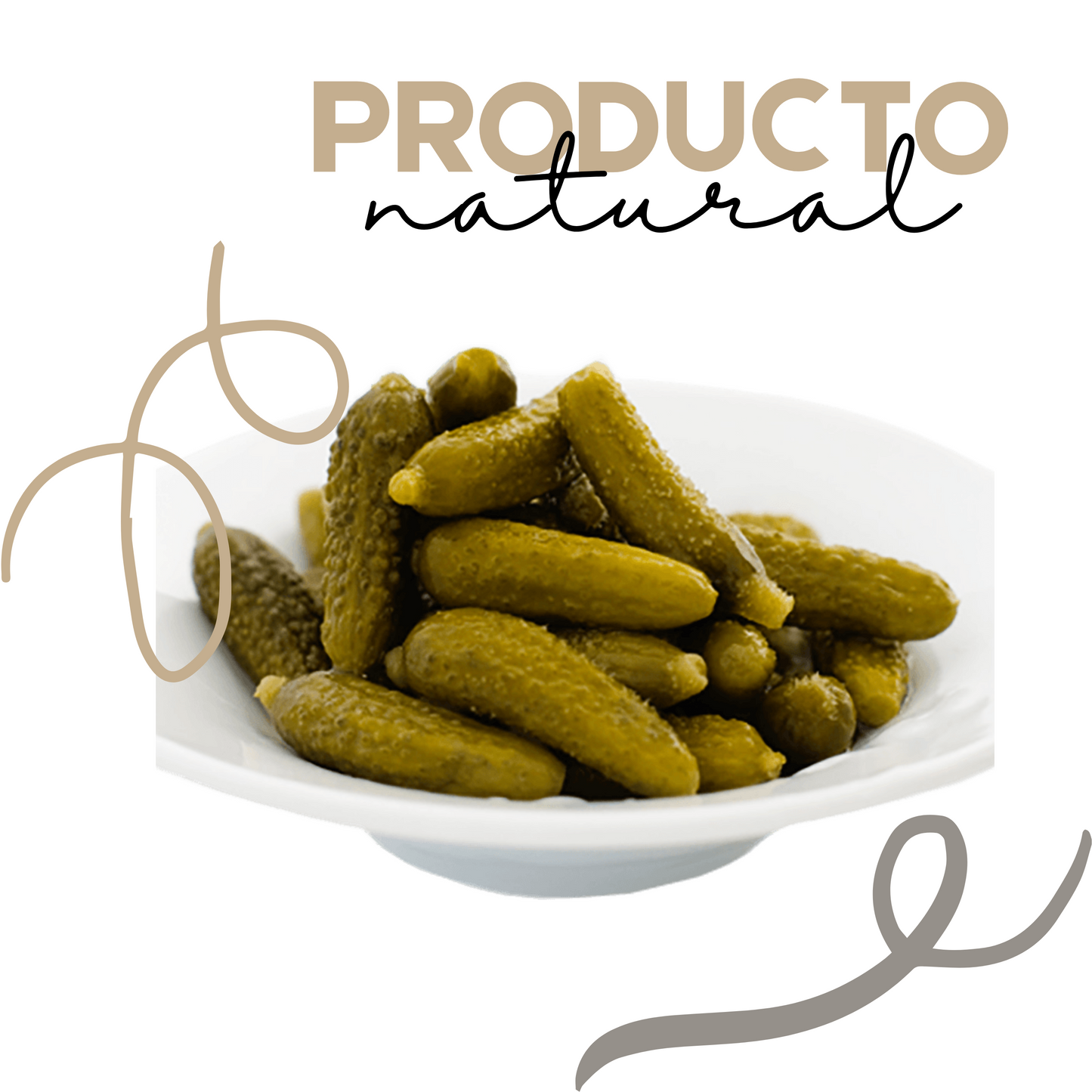 Pepinillos en Vinagre | Gourmet | Artesanal | 12 frascos | Mexpofood