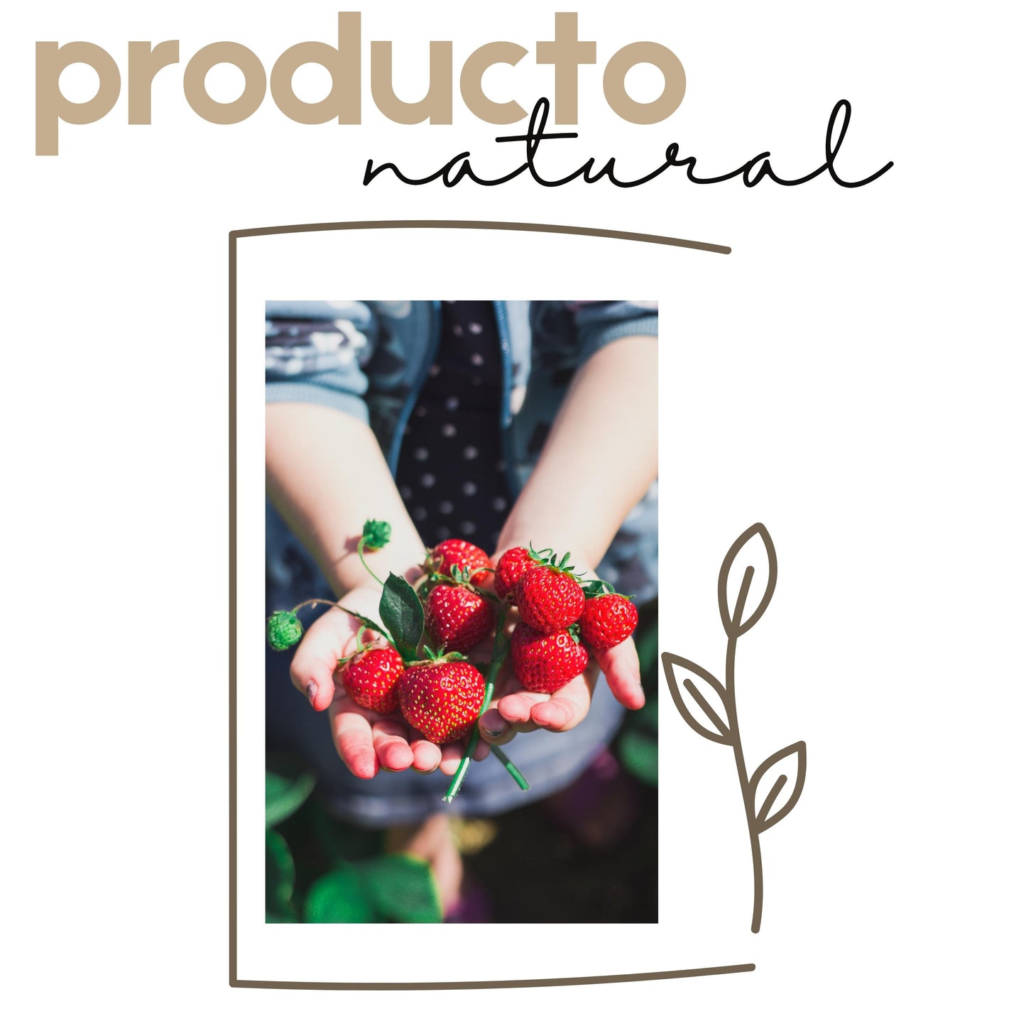 Fresas con chamoy | 500g | gourmet | Mayoreo | Mexpofood