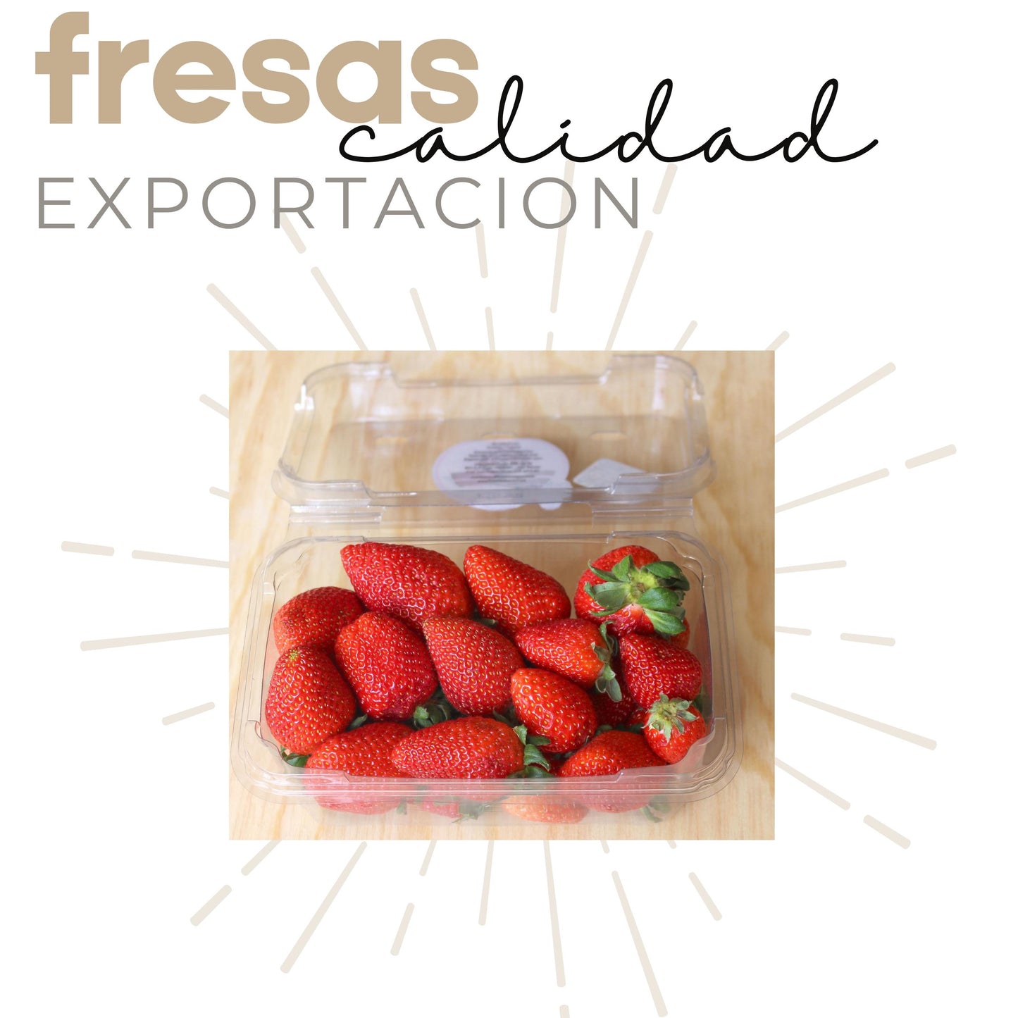 Fresas Cristalizadas | Chamoy | Caja Mayoreo | 50grs