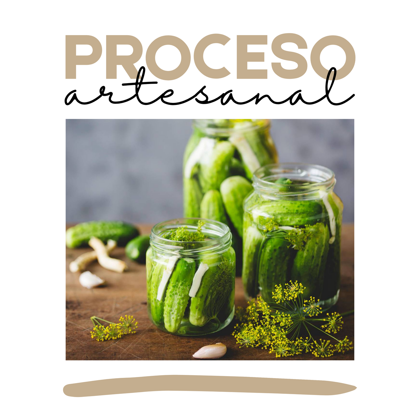 Pepinillos en Vinagre | Gourmet | Artesanal | 12 frascos | Mexpofood