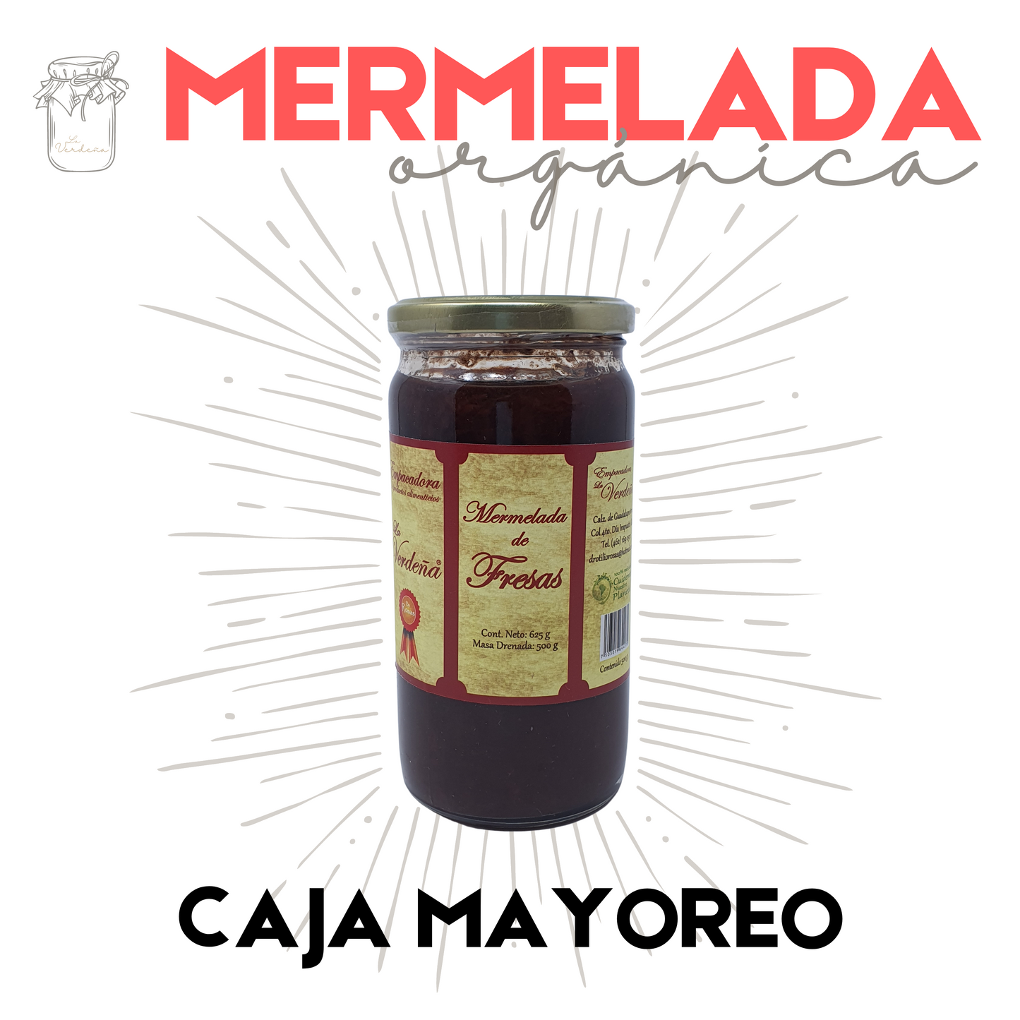 Mermelada de Fresa | Orgánica | Artesanal | Gourmet | Caja Mayoreo | 625g | Mexpofood