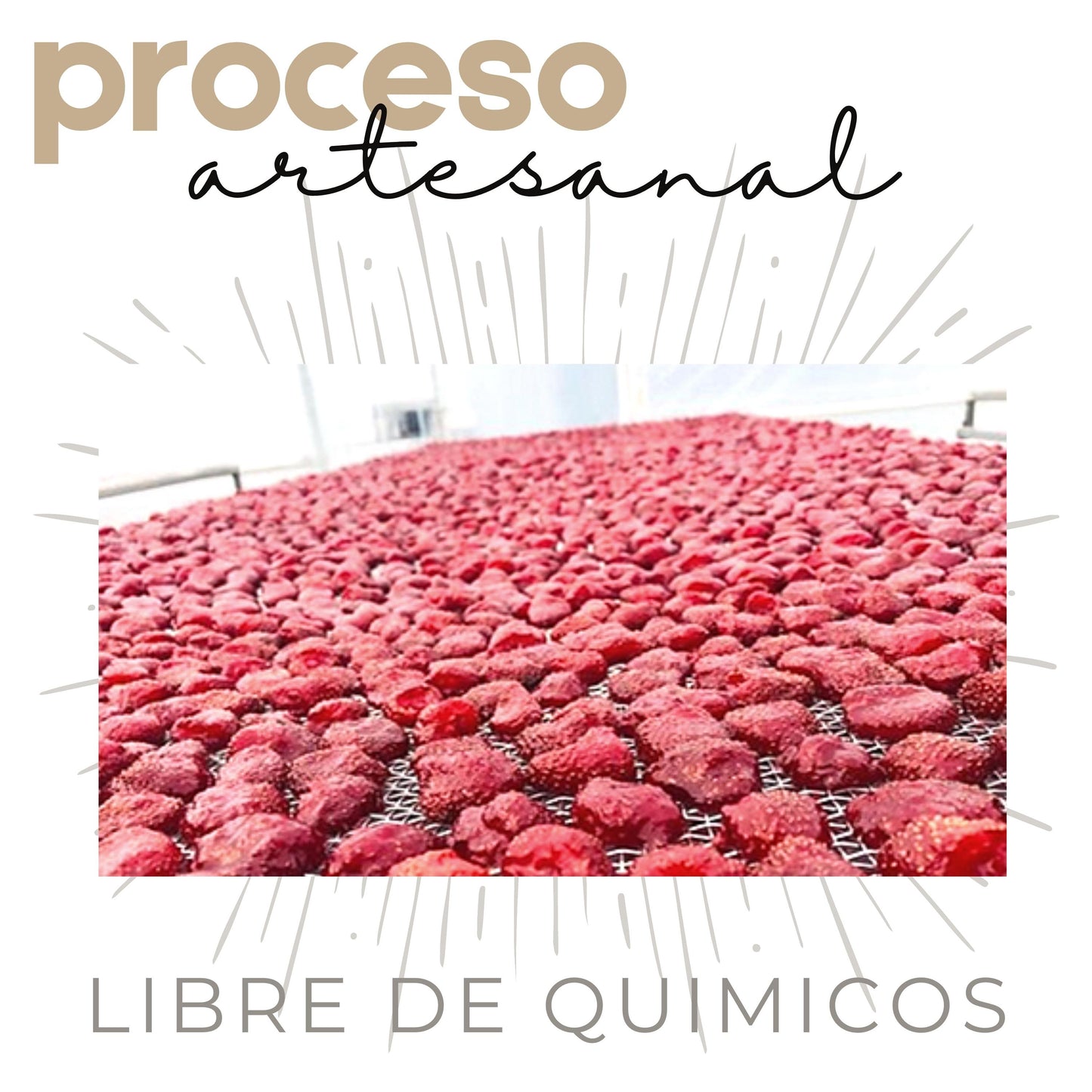 Fresas con azúcar | Caja mayoreo 18 pzs | 250grs | Cristalizadas | Mexpofood