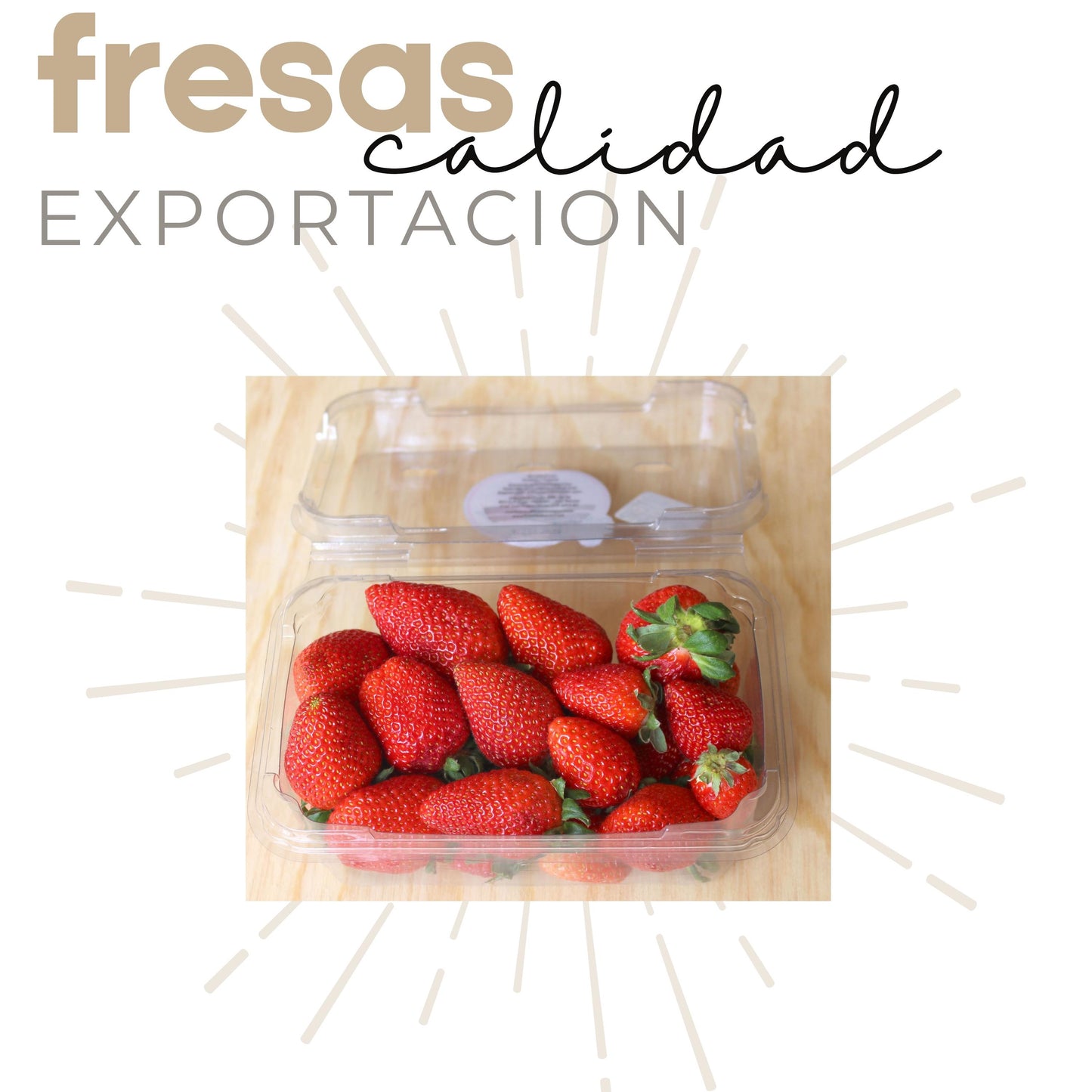 Fresas con azúcar | Gourmet | 250grs | Mexpofood