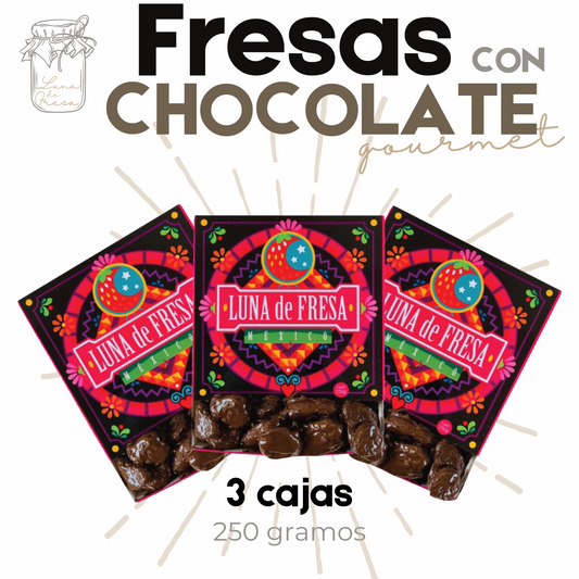 Fresas con chocolate | Fresas Cristalizadas | Gourmet | 750 | Mexpofood