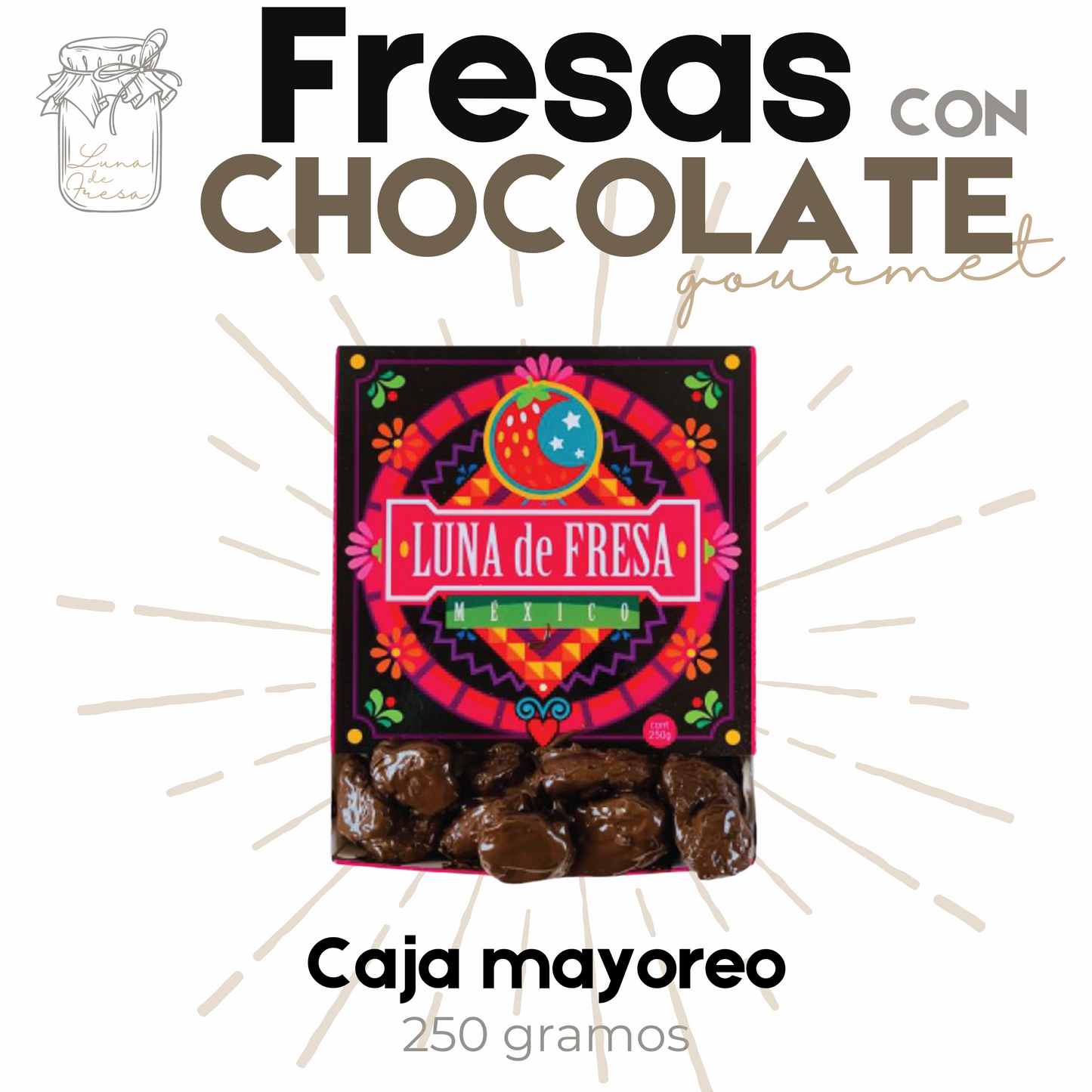 Fresas con chocolate | Fresas Cristalizadas | Gourmet | caja mayoreo 250g | Mexpofood
