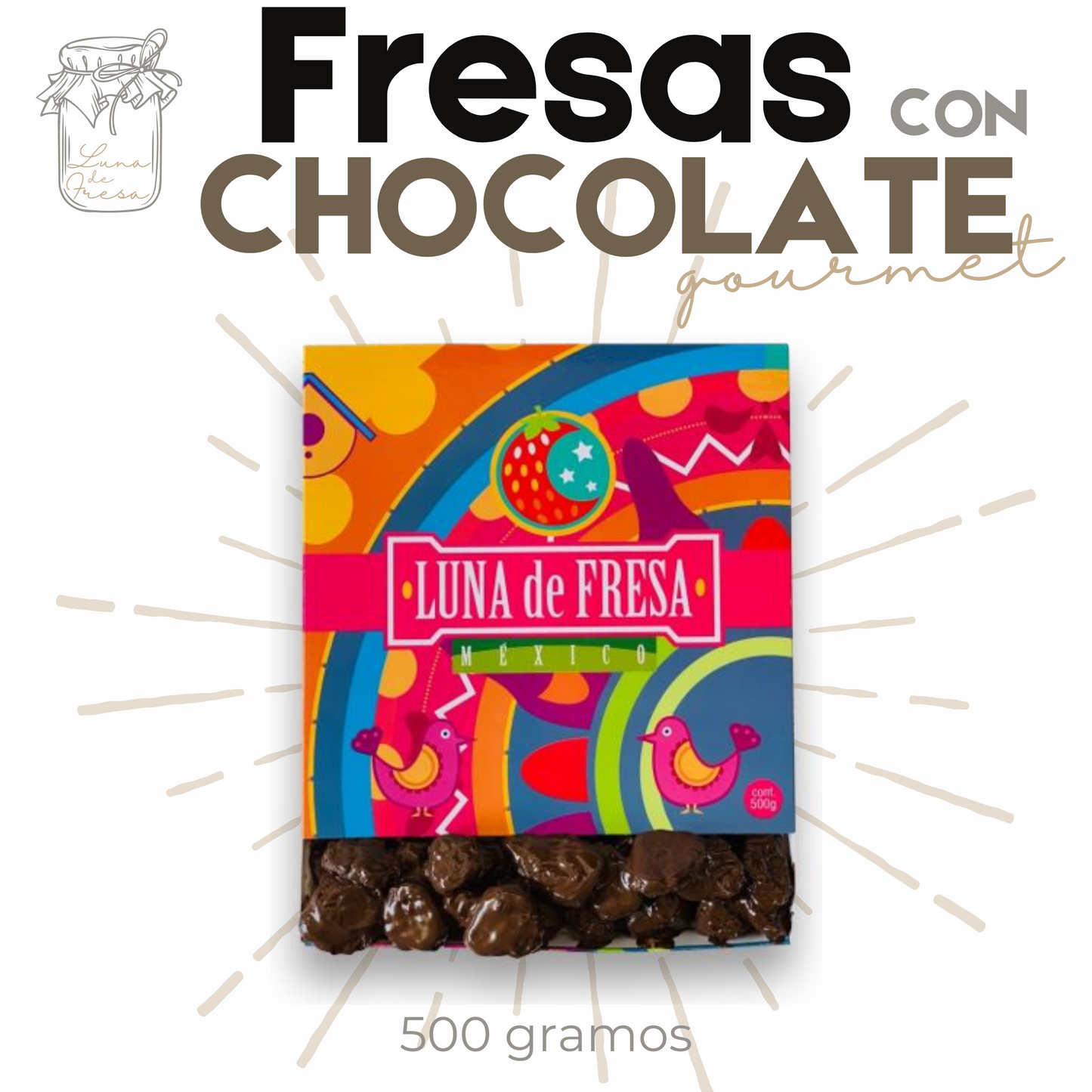 Fresas con chocolate | Fresas Cristalizadas | Gourmet | 500g | Mexpofood