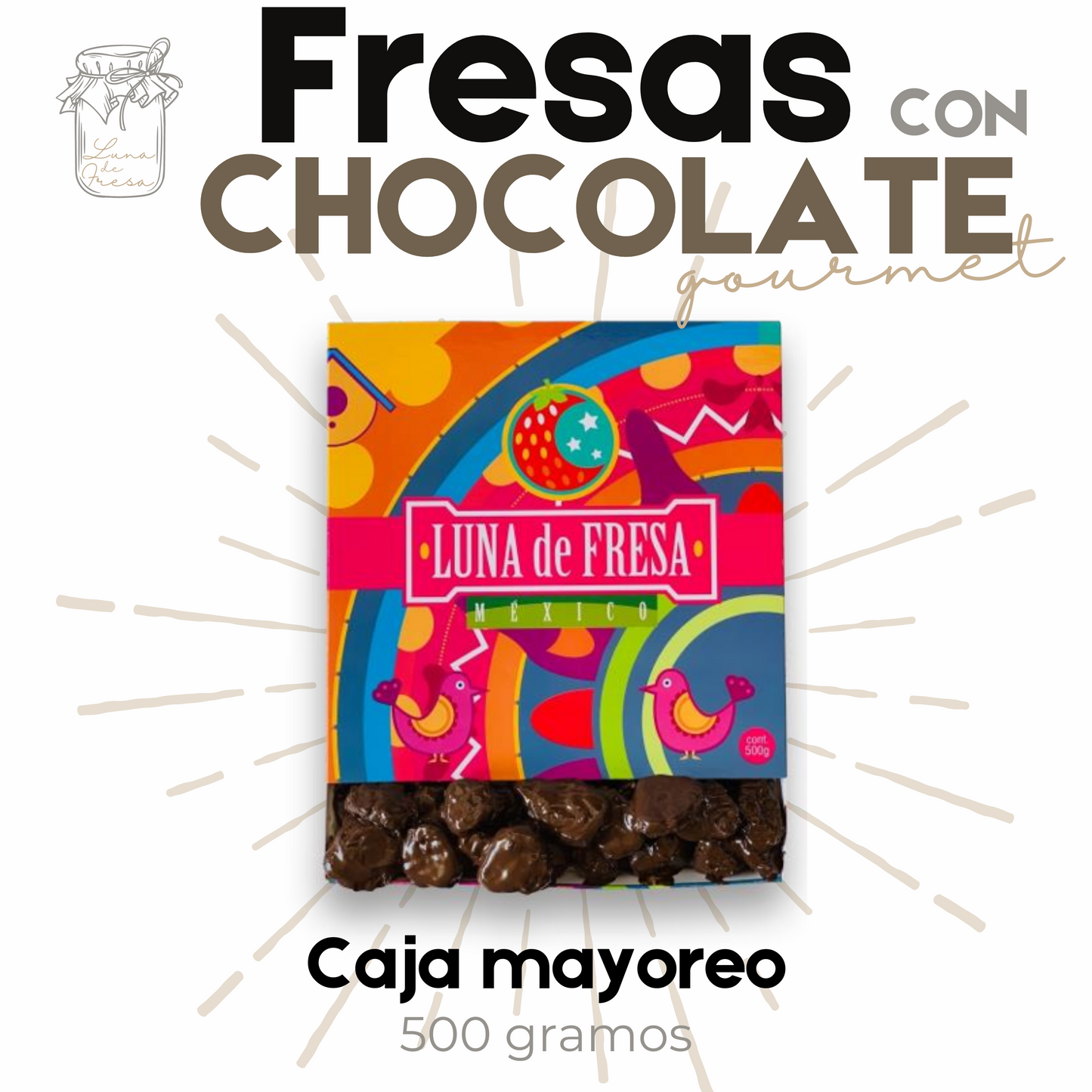 Fresas con chocolate | Fresas Cristalizadas | Gourmet | caja mayoreo 500g | Mexpofood